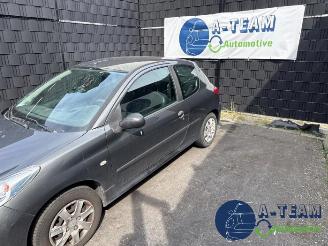 Peugeot 206 206+ (2L/M), Hatchback, 2009 / 2013 1.1 XR,XS picture 5