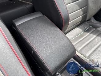 Volkswagen Golf Golf VIII (CD1), Hatchback, 2019 2.0 GTI 16V picture 28