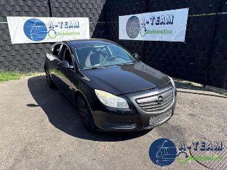 Opel Insignia Insignia, Hatchback 5-drs, 2008 / 2017 1.6 16V Ecotec picture 1