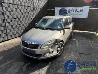 Skoda Fabia Fabia II Combi, Combi 5-drs, 2007 / 2014 1.2 TDI 12V Greenline picture 3
