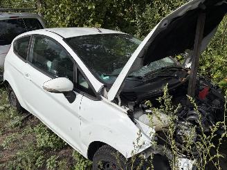 Ford Fiesta diversen picture 17