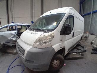 Gebrauchtwagen PKW Fiat Ducato Ducato (250) Van 2.3 D 120 Multijet (F1AE0481D) [88kW]  (07-2006/...) 2007/4