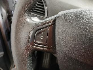 Renault Scenic Scénic III (JZ) MPV 1.4 16V TCe 130 (H4J-700(H4J-A7)) [96kW]  (02-20=
09/09-2016) picture 15