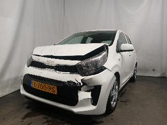 uszkodzony samochody osobowe Kia Picanto Picanto (JA) Hatchback 1.0 DPI 12V (G3LD) [46kW]  (05-2024/...) 2024/1