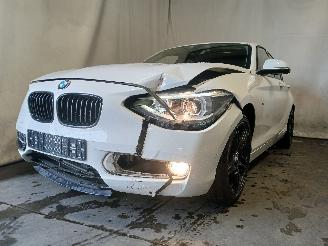 BMW 1-serie 1 serie (F20) Hatchback 5-drs 116i 1.6 16V (N13-B16A) [100kW]  (07-201=
1/02-2015) picture 1