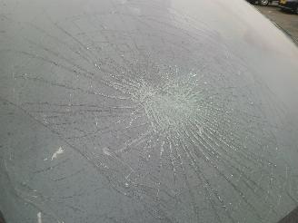 Tesla Model S Model S Liftback P100D AWD (L2S) [568kW]  (10-2016/...) picture 21