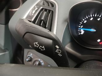 Ford Grand C-Max Grand C-Max (DXA) MPV 1.0 Ti-VCT EcoBoost 12V 125 (M1DA(Euro 5)) [92kW=
]  (10-2012/06-2019) picture 14