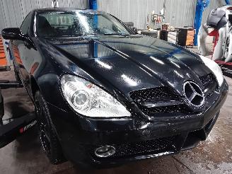 Mercedes SLK SLK (R171) Cabrio 1.8 200 K 16V (M271.954) [135kW]  (01-2008/02-2011) picture 2