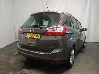 Ford Grand C-Max Grand C-Max (DXA) MPV 1.0 Ti-VCT EcoBoost 12V 125 (M1DA(Euro 5)) [92kW=
]  (10-2012/06-2019) picture 5