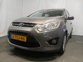 Avarii autoturisme Ford Grand C-Max Grand C-Max (DXA) MPV 1.0 Ti-VCT EcoBoost 12V 125 (M1DA(Euro 5)) [92kW=
]  (10-2012/06-2019) 2014/4