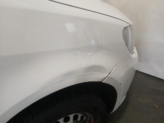 Volkswagen Caddy Caddy III (2KA,2KH,2CA,2CH) Van 1.6 TDI 16V (CAYE) [55kW]  (08-2010/05=
-2015) picture 24