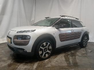 Citroën C4 C4 Cactus (0B/0P) Hatchback 5-drs 1.2 PureTech 82 12V (EB2F(HMZ)) [60k=
W]  (09-2014/...) picture 3
