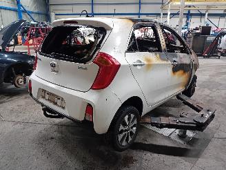 Kia Picanto Picanto (TA) Hatchback 1.0 12V (G3LA) [49kW]  (05-2011/06-2017) picture 3