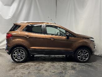 Ford EcoSport EcoSport (JK8) SUV 1.0 EcoBoost 12V 125 (M1JJ) [92kW]  (10-2013/...) picture 7