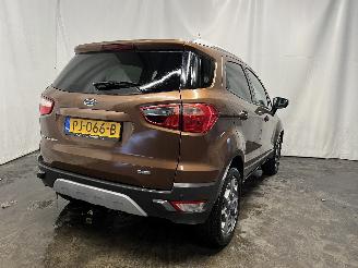 Ford EcoSport EcoSport (JK8) SUV 1.0 EcoBoost 12V 125 (M1JJ) [92kW]  (10-2013/...) picture 5