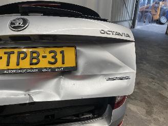 Skoda Octavia Octavia Combi (5EAC) Combi 5-drs 1.6 TDI Greenline 16V (CRKB) [81kW]  =
(05-2013/07-2020) picture 14