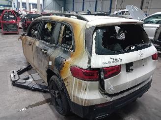 Mercedes GLB GLB (247.6) SUV 2.0 GLB-200d (OM654.920) [110kW]  (08-2019/...) picture 4