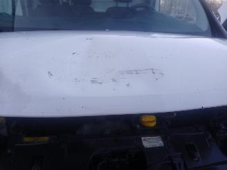 Opel Vivaro Vivaro Van 1.6 CDTI 95 Euro 6 (R9M-413(R9M-H4)) [70kW]  (03-2016/12-20=
19) picture 28