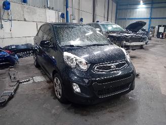Kia Picanto Picanto (TA) Hatchback 1.0 12V (G3LA) [51kW]  (05-2011/06-2017) picture 2