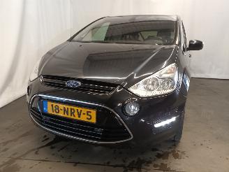 Ford S-Max S-Max (GBW) MPV 2.0 Ecoboost 16V (TNWA(Euro 5)) [149kW]  (03-2010/12-2=
014) picture 2