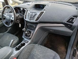 Ford C-Max C-Max (DXA) MPV 1.0 Ti-VCT EcoBoost 12V 125 (M1DA(Euro 5)) [92kW]  (10=
-2012/06-2019) picture 8