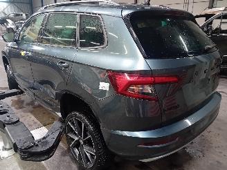 Skoda Karoq Karoq SUV 1.5 TSI 16V (DXDB) [110kW]  (07-2017/...) picture 4