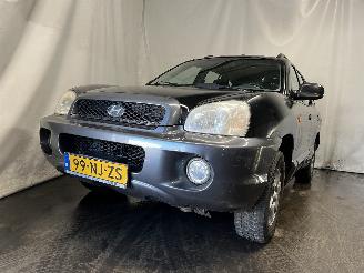 Auto incidentate Hyundai Santa Fe Santa Fe I SUV 2.0 16V 4x2 (G4JP) [99kW]  (08-2001/02-2006) 2003/10