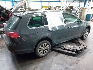 Volkswagen Golf Golf VII Variant (AUVV) Combi 1.6 TDI BlueMotion 16V (CXXB) [81kW]  (0=
5-2013/12-2020) picture 3