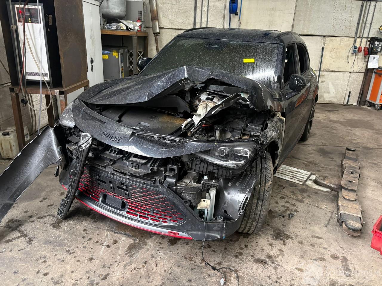 Smart  #1 SUV Brabus, Pulse (TZ180XSB01) [315kW]  (06-2022/...)