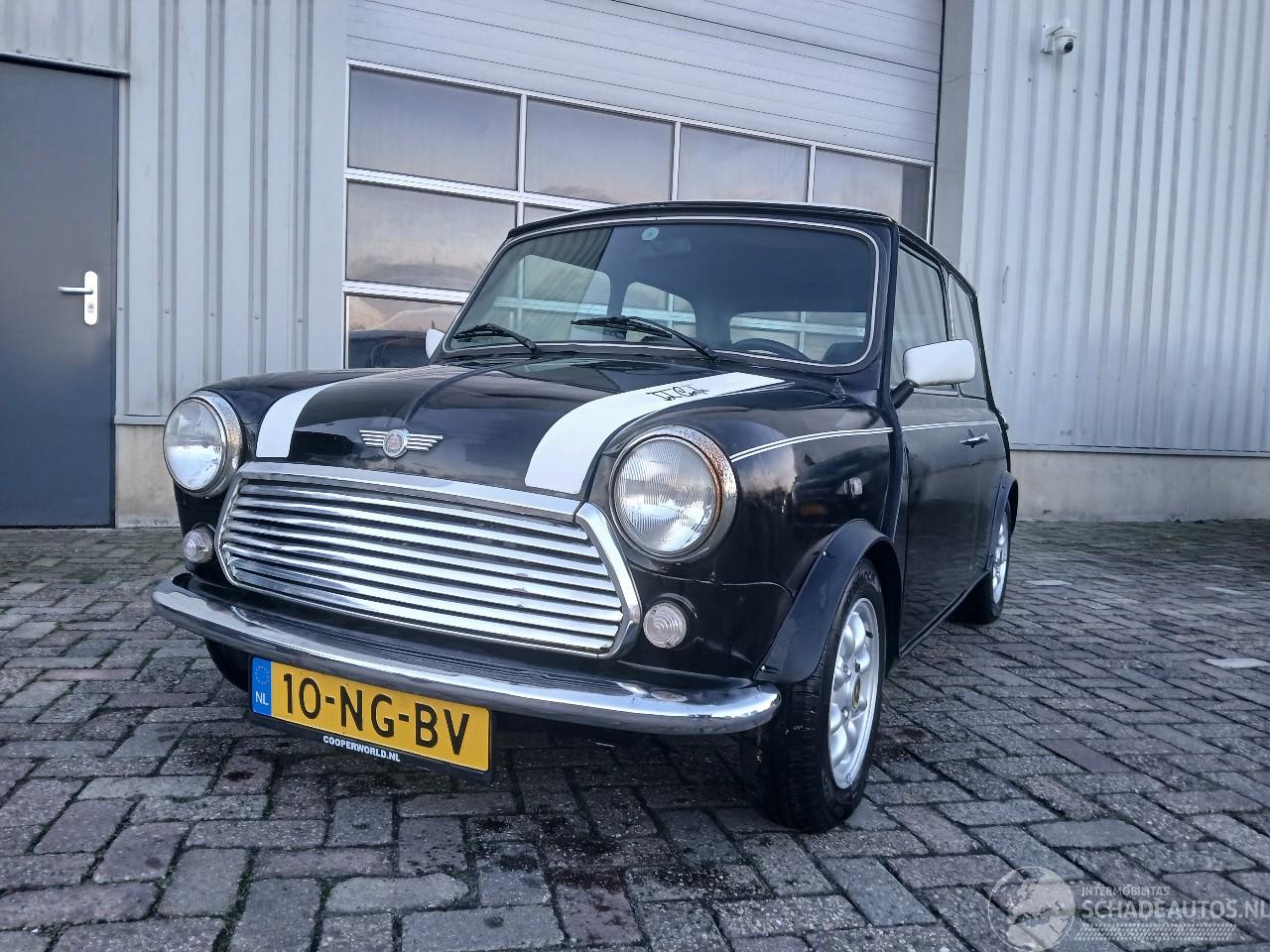 Rover Mini Mini Sedan 1300 Cooper (12A2AF53) [45kW]  (01-1991/12-1991)