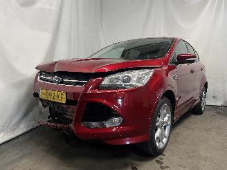 Schadeauto Ford Kuga Kuga II (DM2) SUV 1.5 EcoBoost 16V 150 (M8MA) [110kW]  (09-2014/06-201=
9) 2016/8