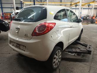 Ford Ka Ka II Hatchback 1.2 (169.A.4000(Euro 4; Euro 5)) [51kW]  (10-2008/05-2=
016) picture 3