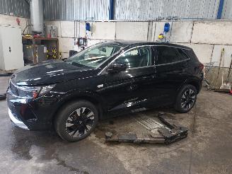 Vrakbiler auto Opel Grandland Grandland (X) SUV 1.2 Turbo 12V (HNS) [96kW]  (07-2018/...) 2023/10