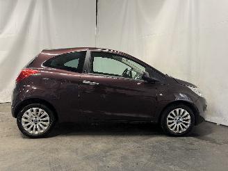Ford Ka Ka II Hatchback 1.2 (169.A.4000(Euro 4; Euro 5)) [51kW]  (10-2008/05-2=
016) picture 8