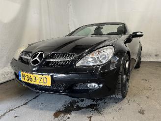 krockskadad bil auto Mercedes SLK SLK (R171) Cabrio 3.5 350 V6 24V (M272.963) [200kW]  (06-2004/02-2011)= 2005/8