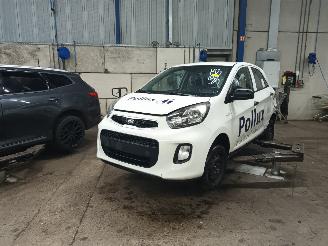 Salvage car Kia Picanto Picanto (TA) Hatchback 1.0 12V (G3LA) [49kW]  (05-2011/06-2017) 2015/7