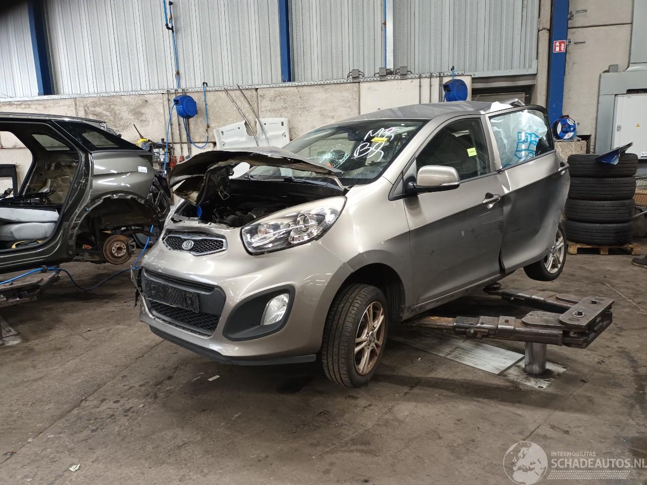 Kia Picanto Picanto (TA) Hatchback 1.0 12V (G3LA) [51kW]  (05-2011/06-2017)