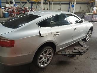 Audi A5 A5 Sportback (8TA) Liftback 2.0 TDI 16V (CAHA) [125kW]  (09-2009/03-20=
12) picture 3