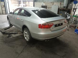 Audi A5 A5 Sportback (8TA) Liftback 2.0 TDI 16V (CAHA) [125kW]  (09-2009/03-20=
12) picture 4