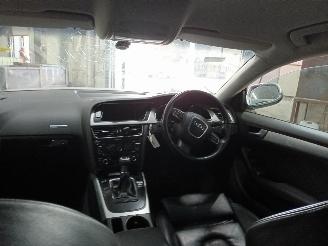 Audi A5 A5 Sportback (8TA) Liftback 2.0 TDI 16V (CAHA) [125kW]  (09-2009/03-20=
12) picture 5