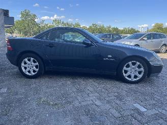 Mercedes SLK SLK (R170) Cabrio 2.3 230 K 16V (M111.973) [142kW]  (09-1996/03-2000) picture 7
