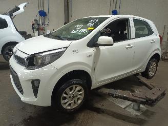 Vrakbiler auto Kia Picanto Picanto (JA) Hatchback 1.0 12V (G3LA) [49kW]  (03-2017/...) 2018/6