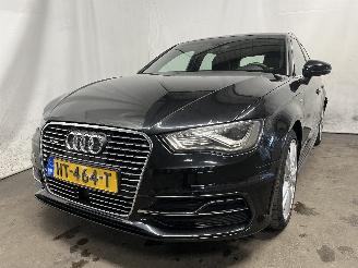 škoda osobní automobily Audi A3 A3 Sportback (8VA/8VF) Hatchback 5-drs 1.4 TFSI 16V e-tron (CUKB(Euro =
6)) [150kW]  (05-2014/10-2020) 2015/12