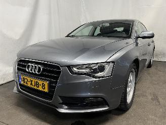 škoda osobní automobily Audi A5 A5 Sportback (8TA) Liftback 1.8 TFSI 16V (CJEB(Euro 5) [125kW]  (08-20=
11/01-2017) 1980
