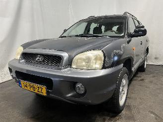 Unfallwagen Hyundai Santa Fe Santa Fe I SUV 2.0 16V 4x2 (G4JP) [99kW]  (08-2001/02-2006) 2004/4