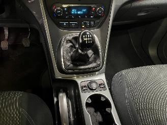 Ford C-Max C-Max (DXA) MPV 1.0 Ti-VCT EcoBoost 12V 125 (M1DA(Euro 5)) [92kW]  (10=
-2012/06-2019) picture 16