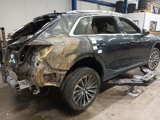 Audi E-tron e-tron (GEN) SUV 50 quattro (EASB) [230kW]  (09-2019/07-2023) picture 3