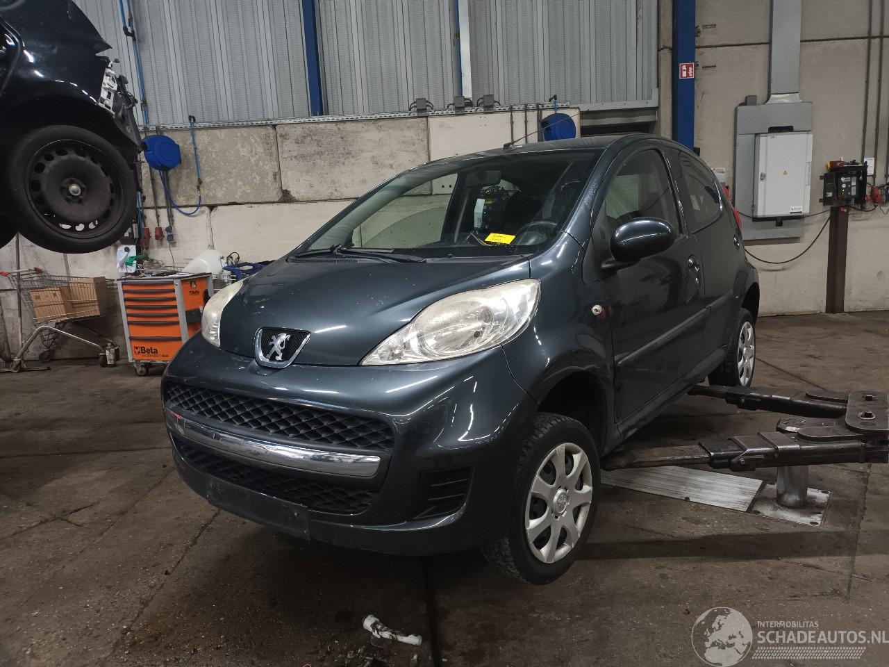 Peugeot 107 107 Hatchback 1.0 12V (384F(1KR)) [50kW]  (06-2005/05-2014)