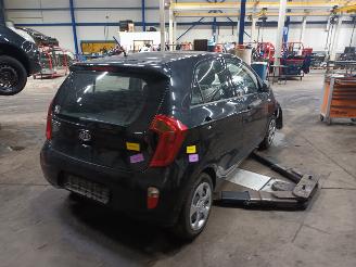 Kia Picanto Picanto (TA) Hatchback 1.0 12V (G3LA) [51kW]  (05-2011/06-2017) picture 3
