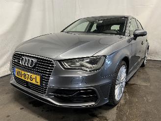 škoda osobní automobily Audi A3 A3 Sportback (8VA/8VF) Hatchback 5-drs 1.4 TFSI 16V e-tron (CUKB(Euro =
6)) [150kW]  (05-2014/10-2020) 2015/11
